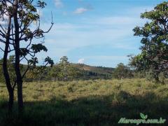 SITIO COM 25 HECTARES.