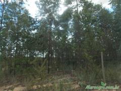 SITIO COM 25 HECTARES.